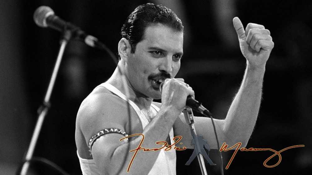 Miniaturka utworu Freddie Mercury - In My Defence