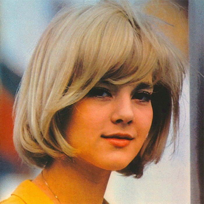 Miniaturka utworu Sylvie Vartan - Silver mac